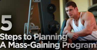 mass gaining program