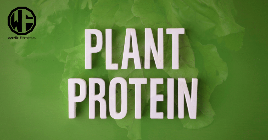 plant protein