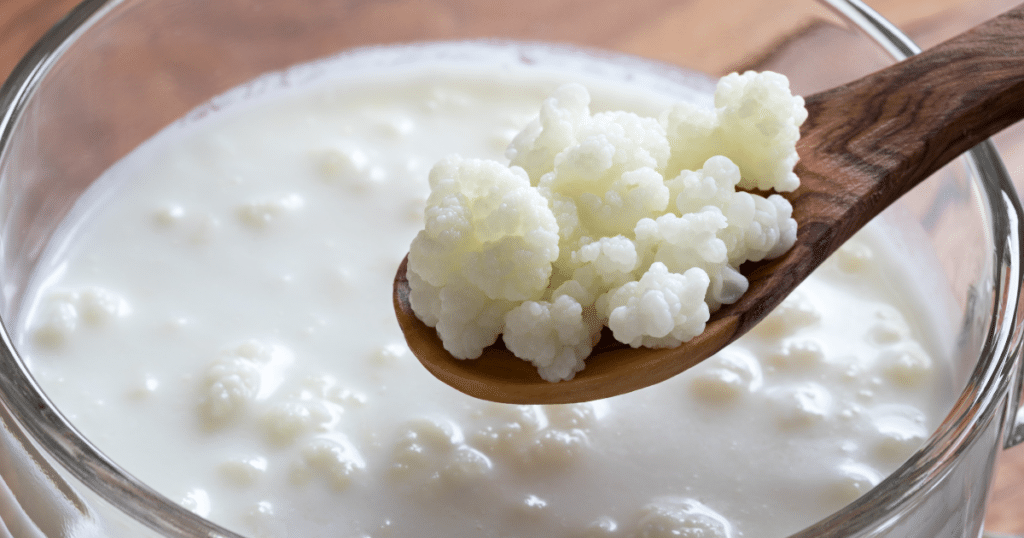 kefir