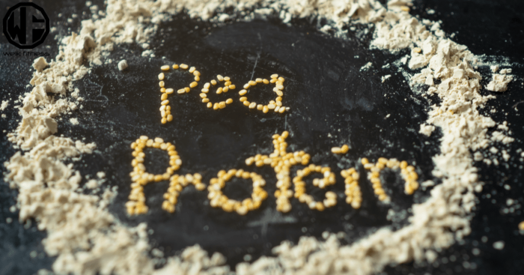 pea protein