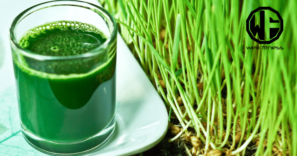 wheat grass