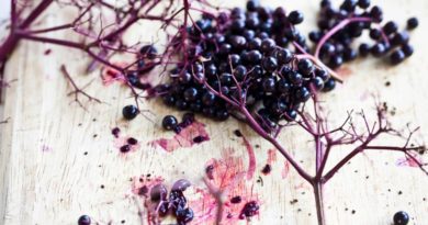 elderberry supplements