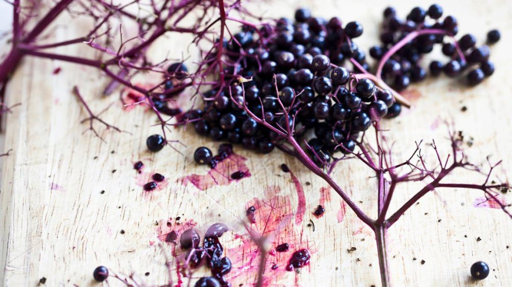 The Benefits Of Elderberry Supplements   Elderberry Supplements 