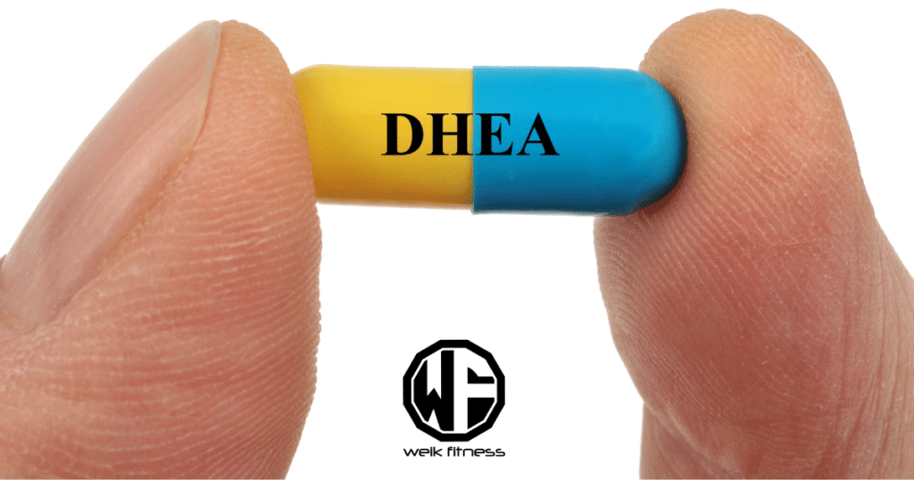 dhea supplements