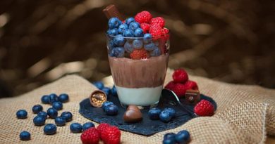 protein pudding recipes