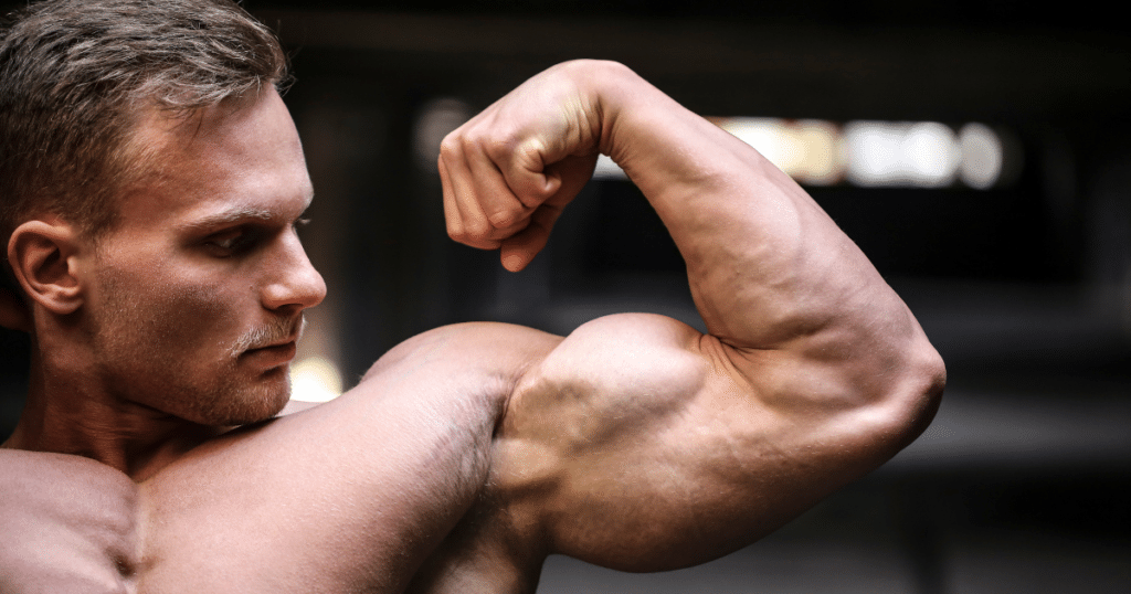 at-home workouts for biceps