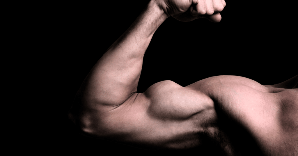 at-home workouts for biceps