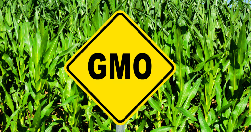 genetically modified food