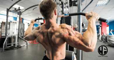 back cable workouts