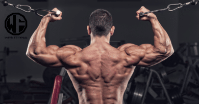 bicep cable workouts