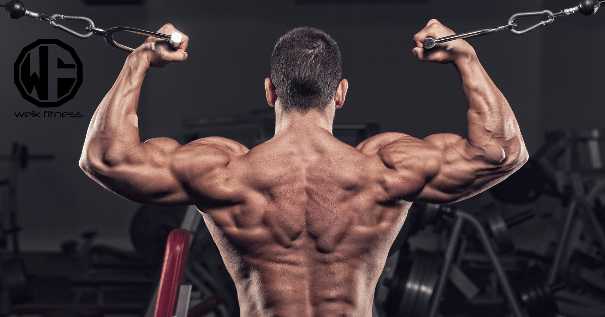 The Best Bicep Cable Workouts & Exercises for Bigger Biceps