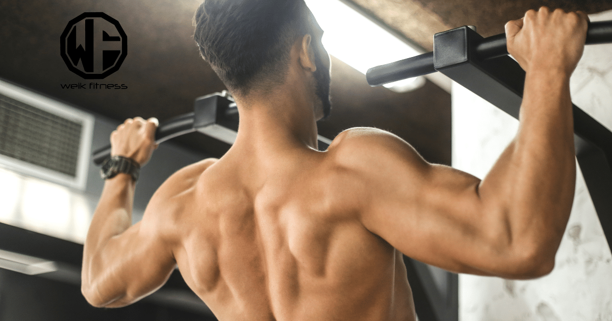 The Best Pull Day Workouts & Exercises For Functional Fitness