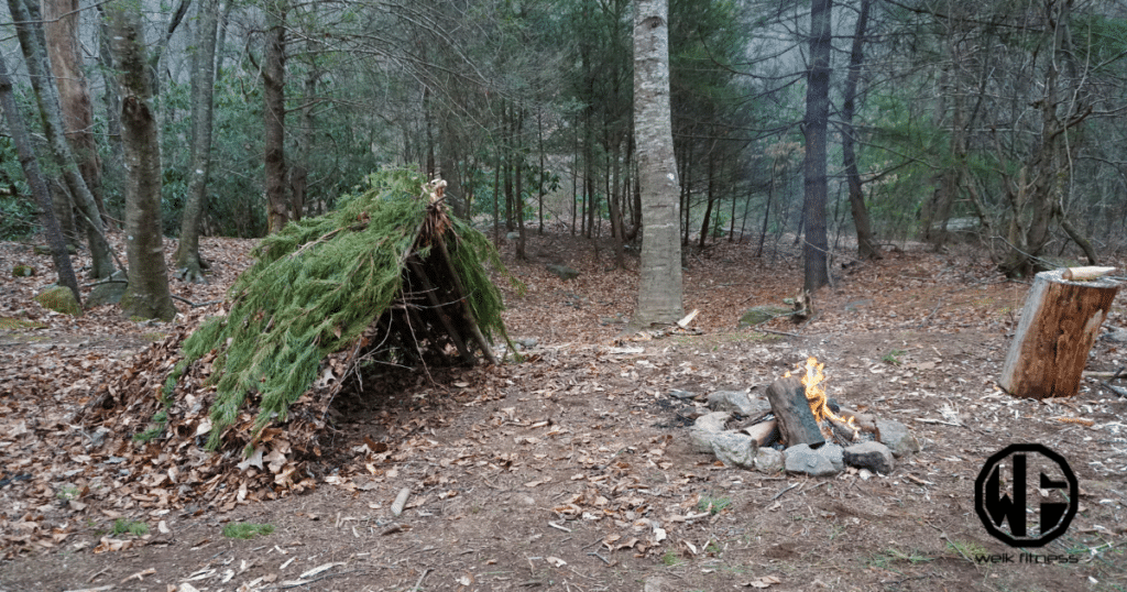 bushcraft shelter