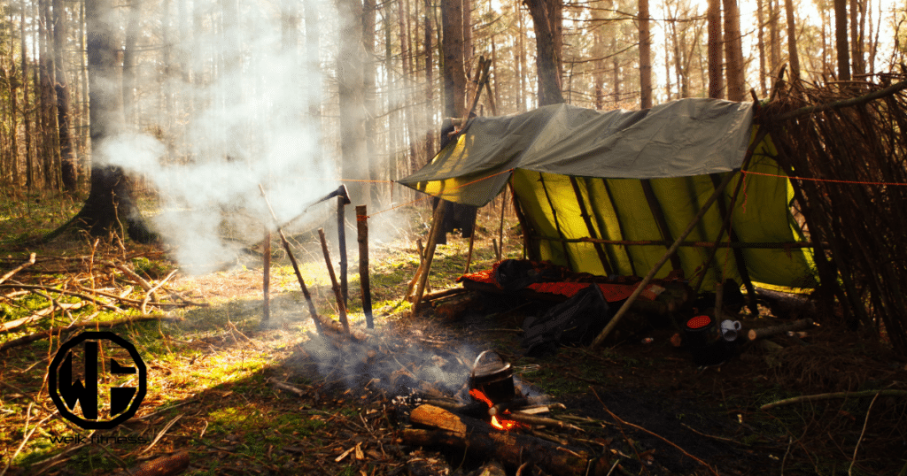 survival shelter