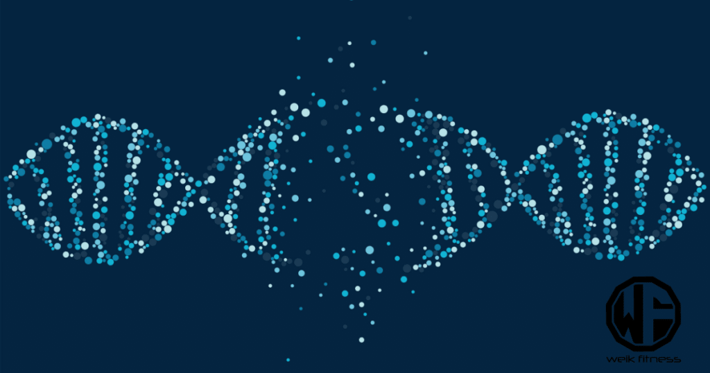 Cellular Senescence